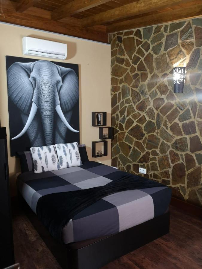 Apartmán La Casita De Abi! La Orotava Exteriér fotografie